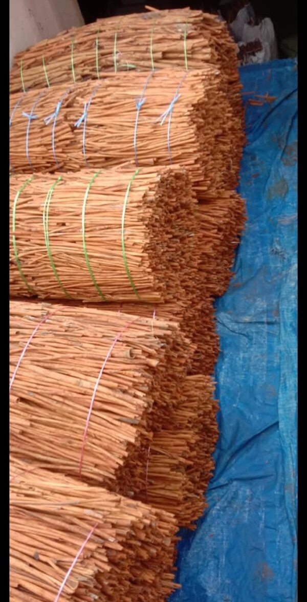 Kayu Manis Sumatera