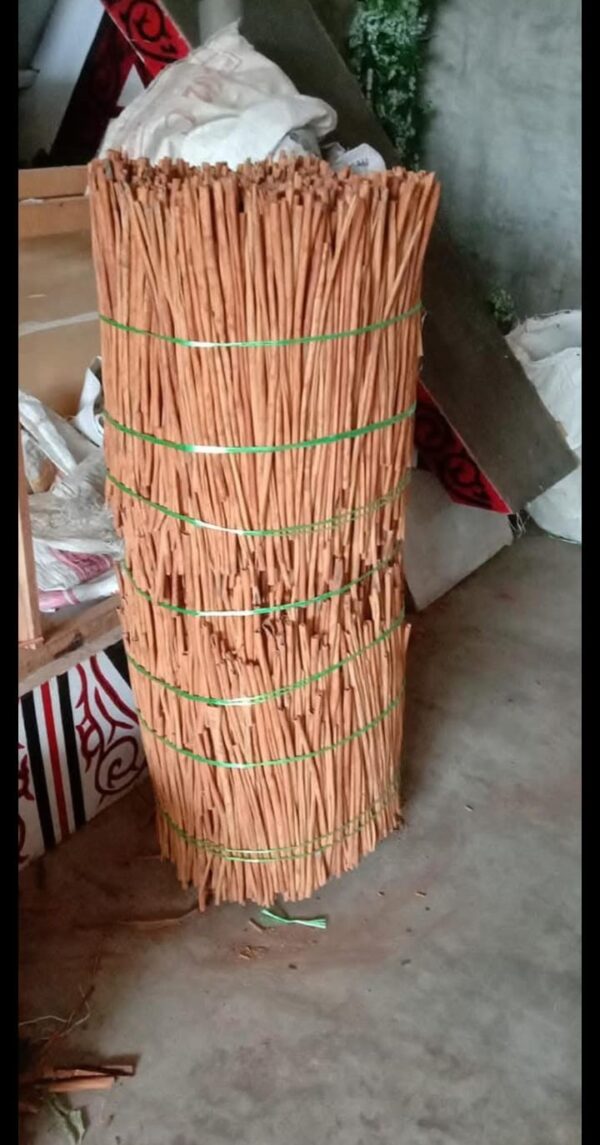 Kayu Manis Sumatera - Gambar 3